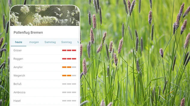 Hintergrund Wiese mit Gräsern - Pollenflug für Bremen auf Handy