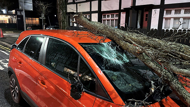 Baum kracht auf Windschutzscheibe eines Autos