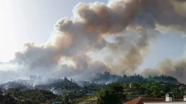 Røg stiger fra en skovbrand ved Punta Gorda, La Palma.