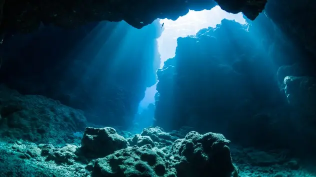 underwater canyon