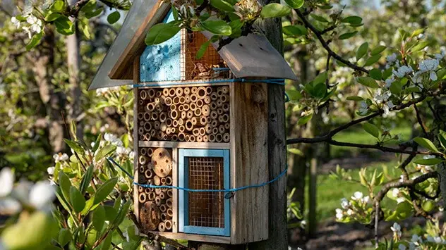 Belangrijk: Nesthulpmiddelen worden over het algemeen alleen aangeschaft als bijen binnen een straal van ongeveer 300 meter geschikte planten vinden.