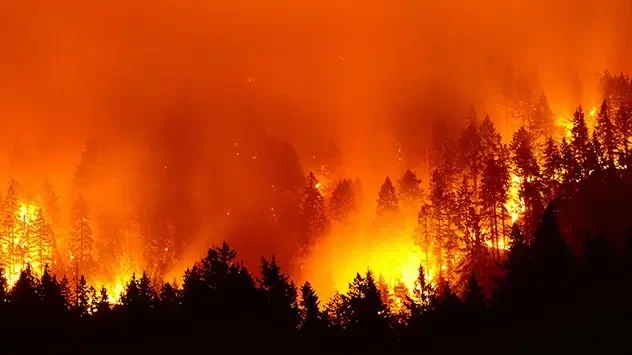Šumski požari