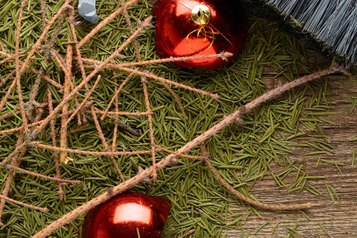 How to dispose of your Christmas tree Weather News