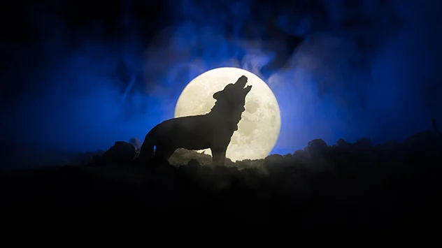 Vollmond mit Wolf