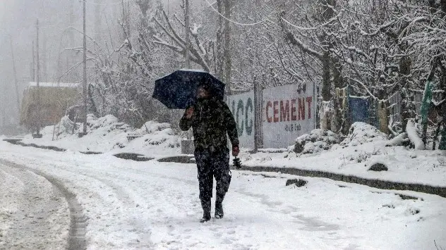 Kashmir Snow 