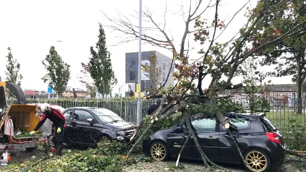 Damage in the UK as a result of an autumn storm.