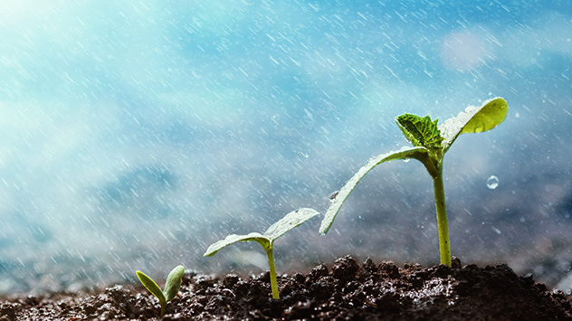 Why does rain smell earthy? Weather News