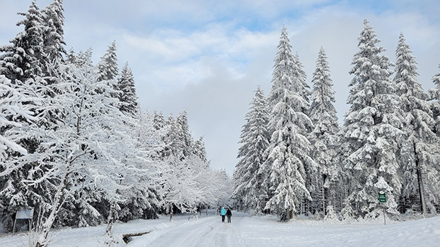 Wintermärchen Thüringer Wald
