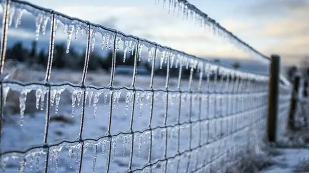 Ice on fence
