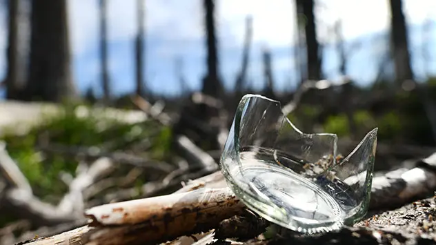 zerbrochenes Stück einer Flache auf Waldboden