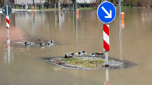 Auch die Wörnitz in Bayern hat eine Straße überflutet und Enten nutzen die sprichwörtliche Verkehrsinsel.