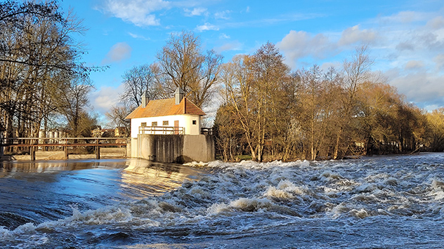 Am Saale-Wehr in Kahla fließt das Wasser sehr schnell und spült Äste und Baumstämme an. 