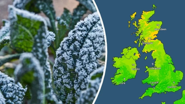 Frosted kale and temperature map of the UK and Ireland