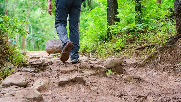 Wanderer auf einem matschigen Waldweg