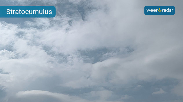 Wanneer stratuswolken gaten krijgen, wordt het stratocumulus. Deze wolken zien eruit als hele grote wattenbolletjes.