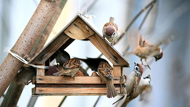 tipps-garten-tiere-ueberwintern