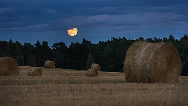 Vollmondnacht Steht Bevor Juli Vollmond Wird Auch Heumond Genannt