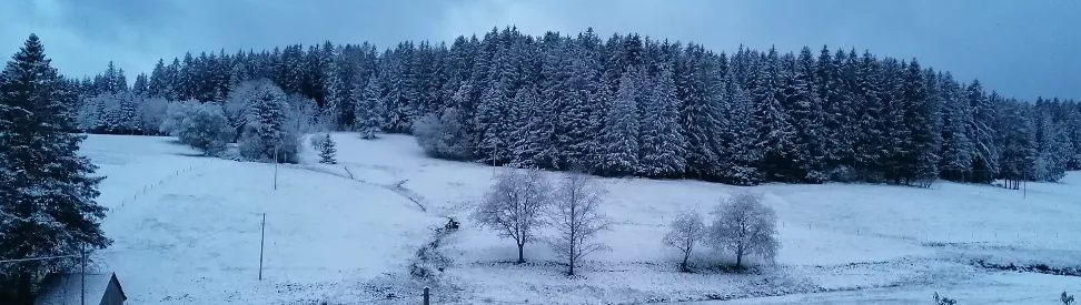 Neuschnee im Schwarzwald - Schnee und Regen im WetterRadar (c) Susanna Winterhalter via WetterMelder Deutschland