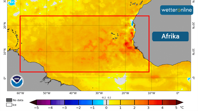 Gebietsweise betragen die positiven Abweichungen der Meeresoberflächentemperatur im Atlantik mehr als 3 Grad.
