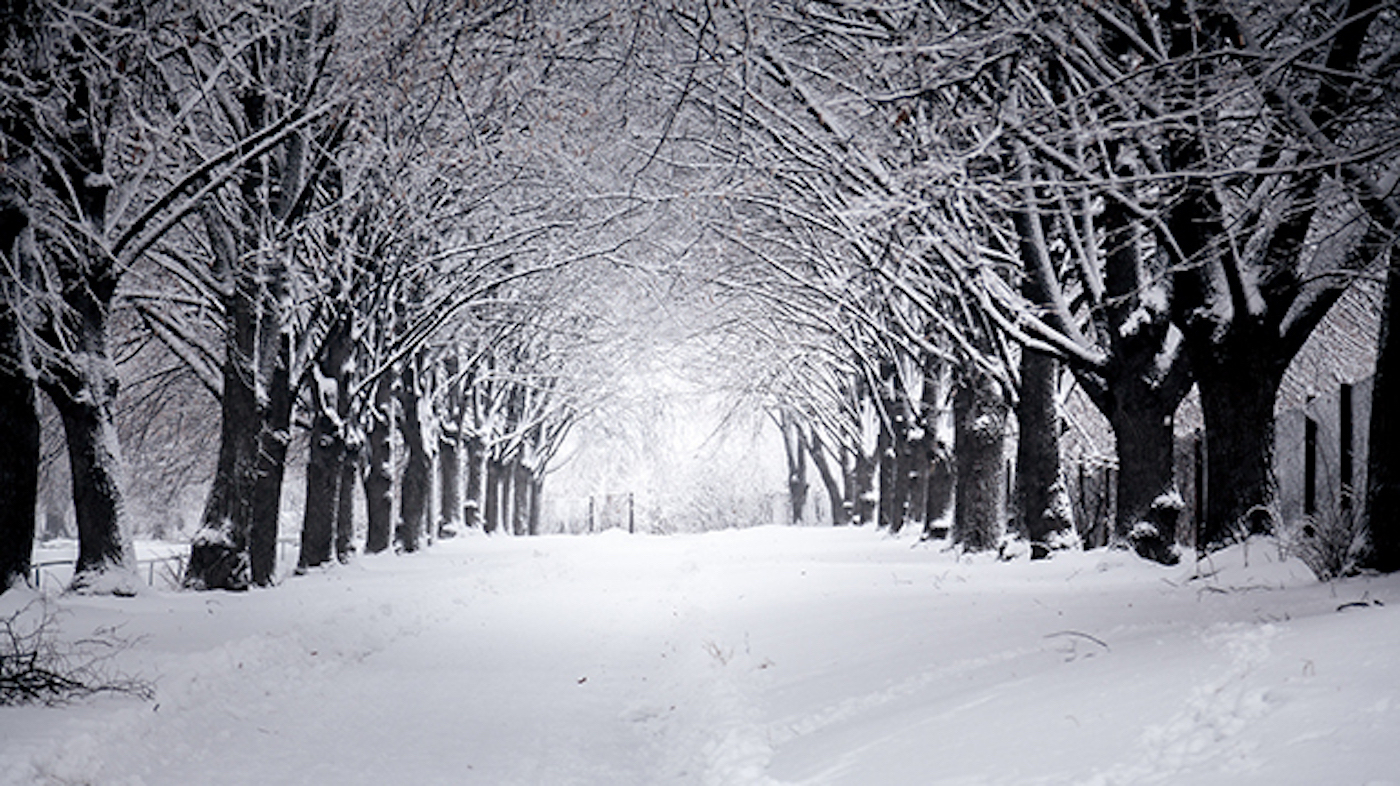 Why does it seem quieter after snow? Weather News