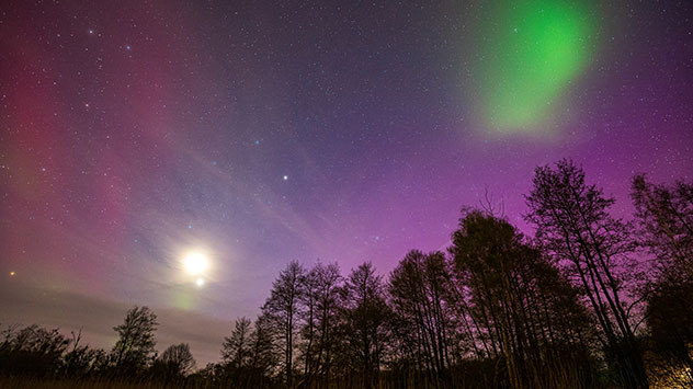 Das grünliche Nordlicht ist in Brandenburg zu sehen.