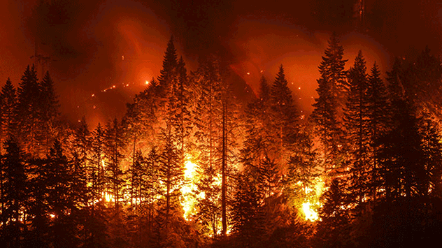 Anhaltende Trockenheit bereits im Frühjahr birgt ein hohes Waldbrandrisiko. 