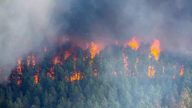 Incendii de vegetație în sudul Europei