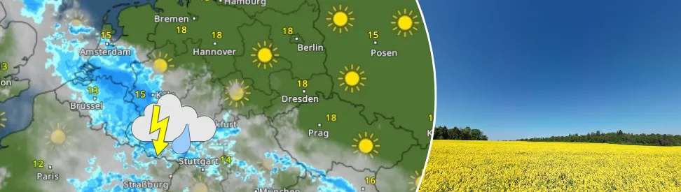 links: WetterRadar zeigt Regen und Gewitter - rechts: Rapsfeld unter blauem Himmel im Ostharz (c) Torsten Brehme