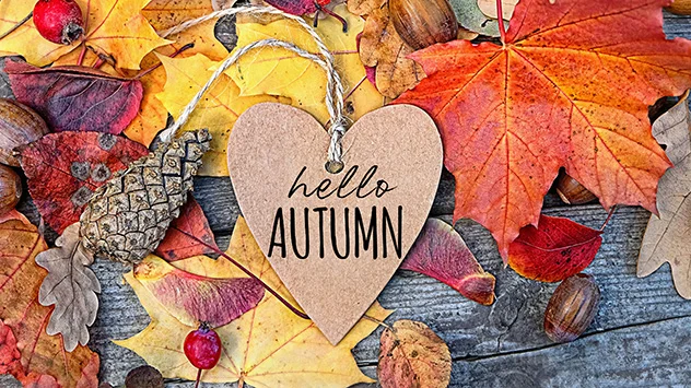 The days start to draw in: Today marks the beginning of autumn – Weather  News
