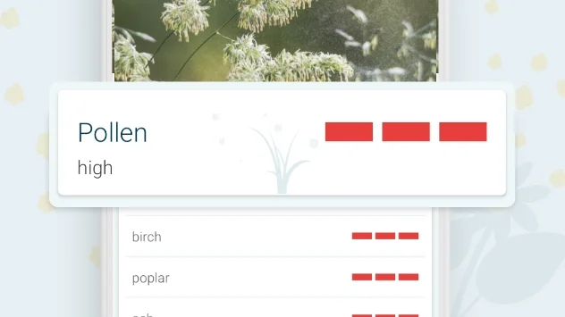 Pollen feature in app
