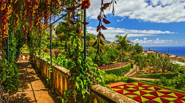 Blick über den botanischen Garten von Funchal im Sommer