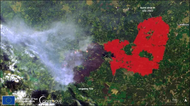 Satellitenbild der Waldbrände
