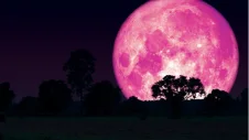pink_full_moon