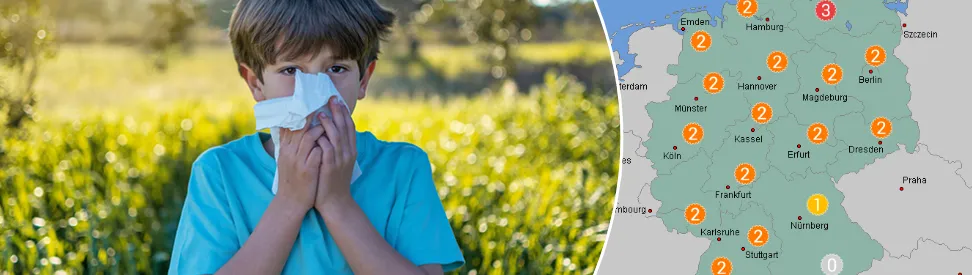 Junge schnieft in ein Taschentuch draußen auf einer Wiese - Pollenvorhersage für heute