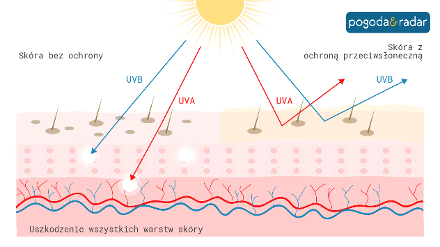 Różne formy światła UV przenikają przez różne warstwy naszej skóry. Promienie UV-A są mniej intensywne, ale docierają głębiej.