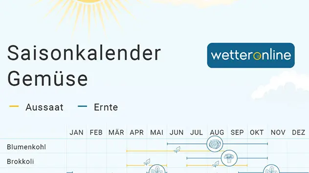 WetterOnline Saisonkalender für Gemüse