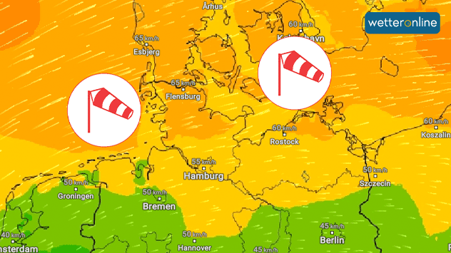 Besonders am Donnerstag weht vor allem an der Nord- und Ostsee ein starker bis stürmischer Wind.