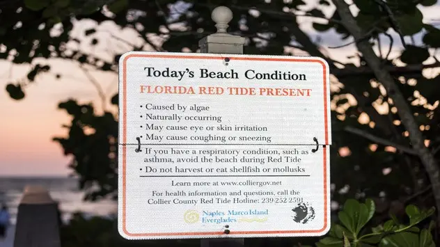 Red tide sign at a Florida beach. 