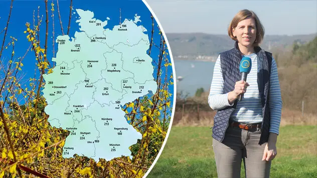 Video: Natur schon weit voraus