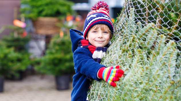Kind umarmt Weihnachtsbaum, der in einem Netz verpackt ist