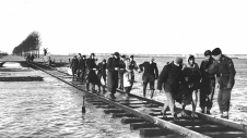 Bewohner des niederländischen Überschwemmungsgebietes in Zeeland bringen sich am 2.2.1953 in Sicherheit.