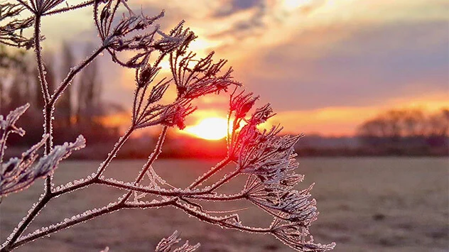 Wetterlexikon: Was ist Reif? - © Simone Wolff Reif bei Sonneuntergang