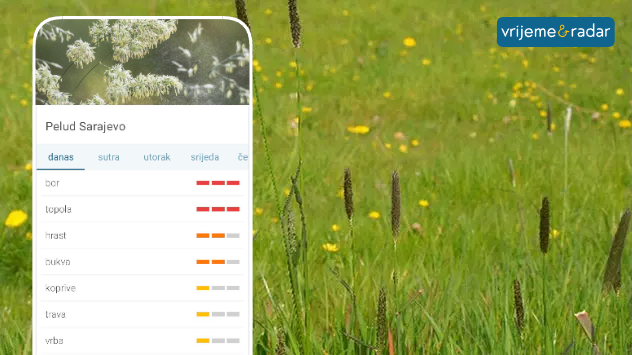 Pomoću aplikacije Vrijeme&Radar možete pratiti kalendar peludi/polena