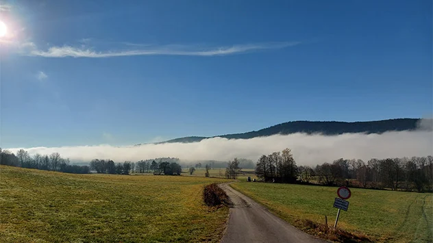 Nebel im Tal im Bayerischen Wald