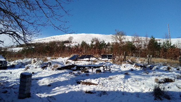 Snowy garden