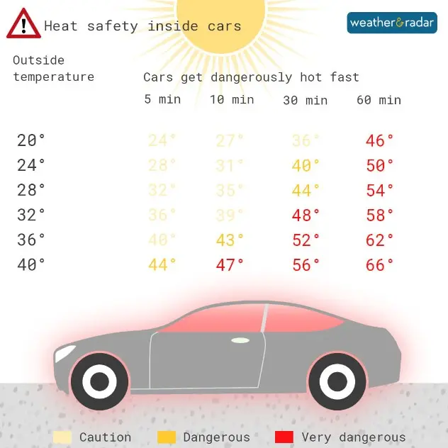 Cars can get dangerously hot 