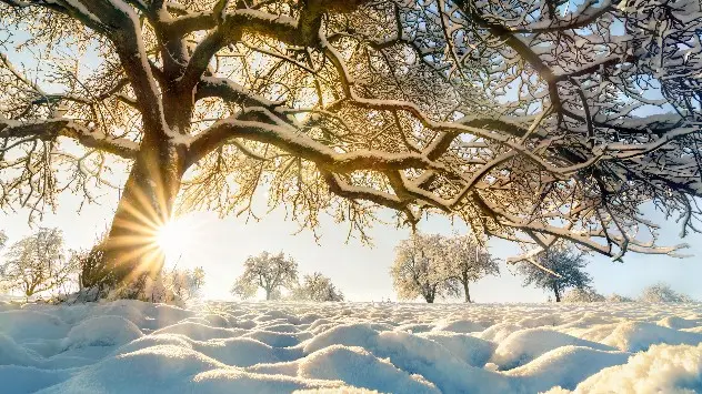 Schneebedeckte Landschaft in tief stehendem Sonnenschein