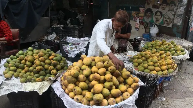 Mango Season India 