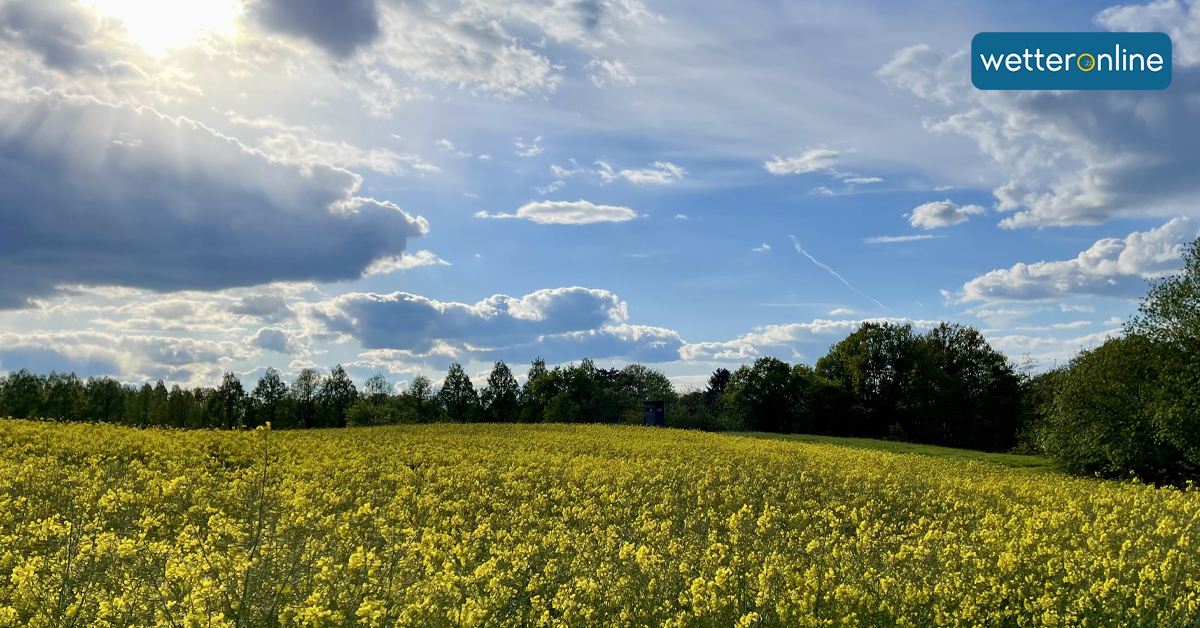 Wetter In Dren 14 Tage