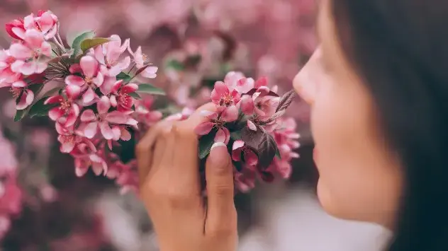 Može li se bolje mirisati proljeće?